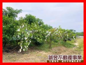誠昱/七股玉成持分小.