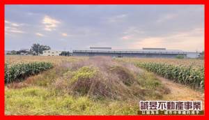 誠昱/海寮前後臨路方正農.