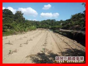 誠昱/南化中坑景區健康農.